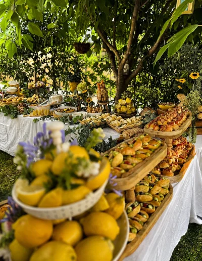 buffet Grazing table